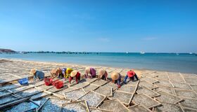Begin your visa-prepared day with Vietnam’s tranquil ambiance